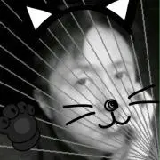 黒猫