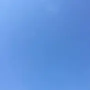 244の画像