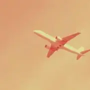 Rの画像
