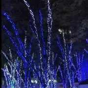 結那