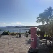 Umiの画像