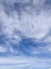 おけいさんの画像