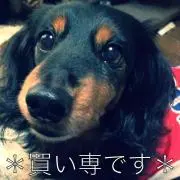 歩汰