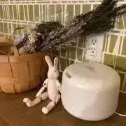 sanaoooの画像