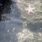 Jenの画像
