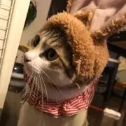 ヤス！