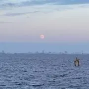 エンドウィークの画像