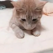 mari Monの画像