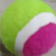 さかなの画像