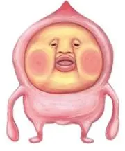 ダイの画像