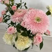 MA−KOの画像