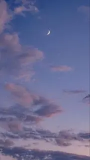 もちの画像