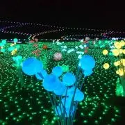 r☺︎次回発送8/2の画像