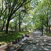 たもの画像