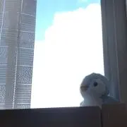 くろあめ