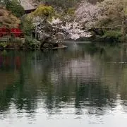 古株もぐの画像