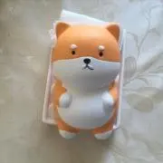 コキカズの画像