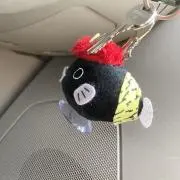 masaの画像