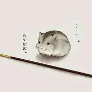 まるこの画像