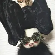mikosroom⭐自己紹介文必読⭐の画像