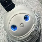 まゆん