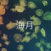 海月　*即購入歓迎*値下可能商品ありの画像