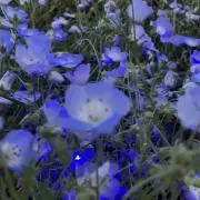 れいの画像