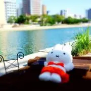 miffyの画像