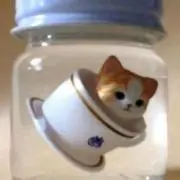 パンのみみの画像