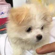 さむ