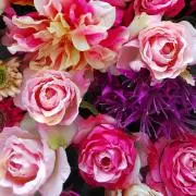 roseの画像