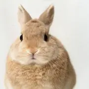 価格相談はお気軽に♪