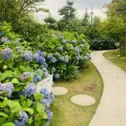 まなの画像