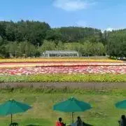 まさこうの画像