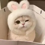 ゆ。プロフ必読໒꒱.·の画像