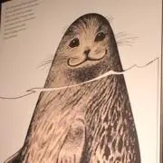 Sashimiの画像