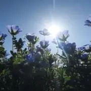 MK-TSの画像