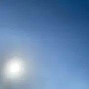 ぶーの画像