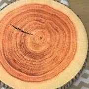 虎猫の画像