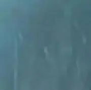 riiの画像