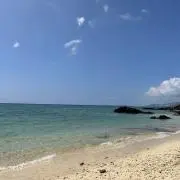 沖縄大好きさんの画像