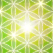 ヒルコの画像