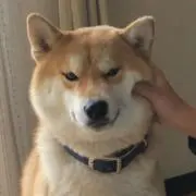 あんの画像