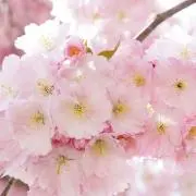 Mの画像