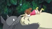 ツバキ1208の画像
