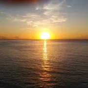 summyの画像