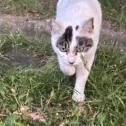 まなの画像