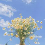Ｙｕｕ♡  ̖́- 即購入大歓迎の画像