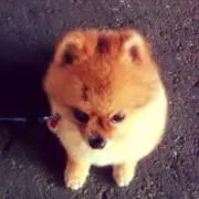 まっちゃんの画像