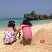 ANKARINの画像